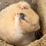 KAKAKANG挣钱给老鼠买别墅