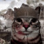 war cat