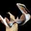 idolomantis diabólica