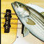 bass