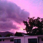 hgn - steam id 76561198282178890