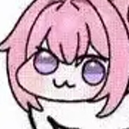 猪脚饭巨好吃⚡