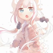 花白锦画纸吹雪