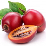 Tree tomato