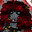 Maimie avatar