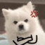 Aiwa Boo