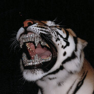 『Ⓗⓡⓘⓢⓣⓞツ』