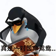 你可记得往日种种