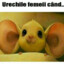 RaulBossuNr1
