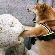 石石石石石石石石石头