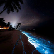 le monde est beau sans toi