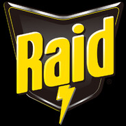 Raid