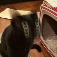 玩家头像