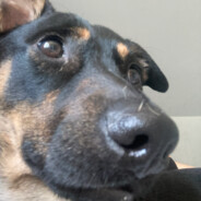 𝕊𝕡𝕝𝕪𝕪𝕪 ⚡