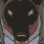 Wolfhead