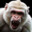 Angry White Monkey