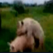 никитос никитосов