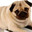 Bolinha