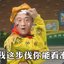 Zhao Four