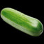 cucumber11