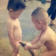 981湘D、伟少【支队】