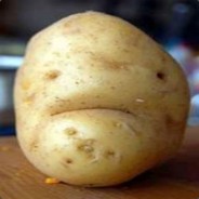 Potato