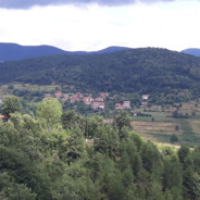 ÖmerAli67