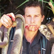 BEARGRYLLS