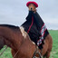 Cavalo do Cão