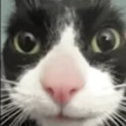 spooks