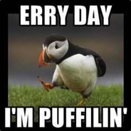 PuFFiN