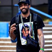 冷血的菠萝之重生归来