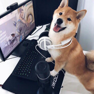 Городская Тёлка Сипа Steam avatar