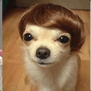 Degame en pas con color