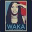 Waka Flocka 4 President