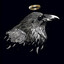 Raven