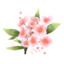 引嗅芬芳