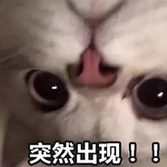 大猫儿