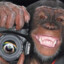 monke