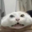 TheColester42