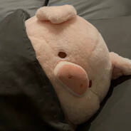 一位不愿意透露姓名人