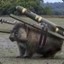 Combat Wombat