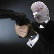 The Pigeon Dealer