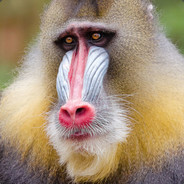 Mandrill