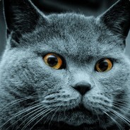 我看看哪个江苏的IP盗我号