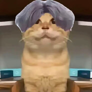 我是菜狗别骂我