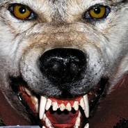 Fear me because I am a wolf