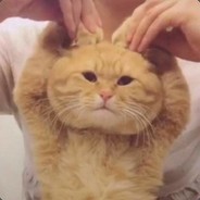 她才18怎么守得住B