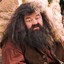 Hagrid