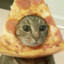 CAT w/ PIZZA on HEAD